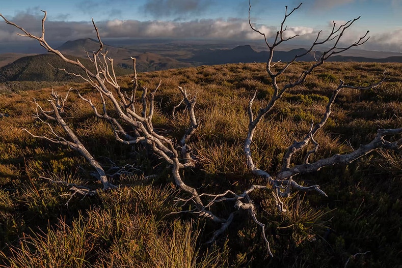 Tasmanian landscape