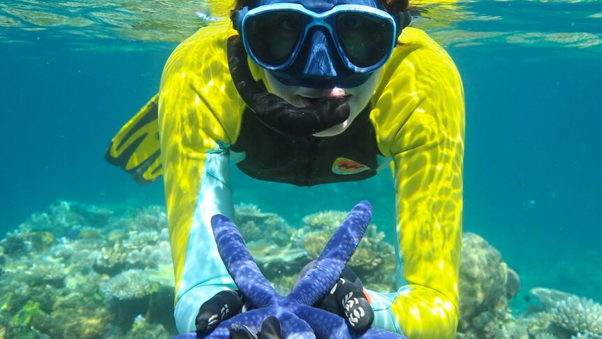 Dr Suzie Starfish holds a blue starfish in the ocean.