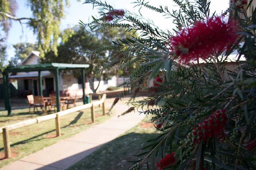Some of the re-landscaped native gardens at the Red Cross-run Outridge Terrace complex in Kalgoorlie.
