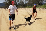 People walk with a metal detector and a dog on Wangetti Beach to search for clues in the murder of Toyah Cordingley.