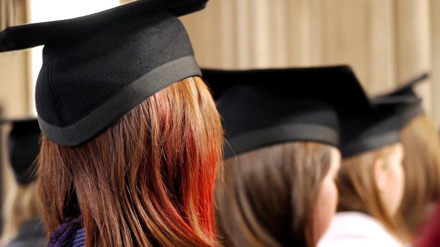 Back of a persons head in university graduation.