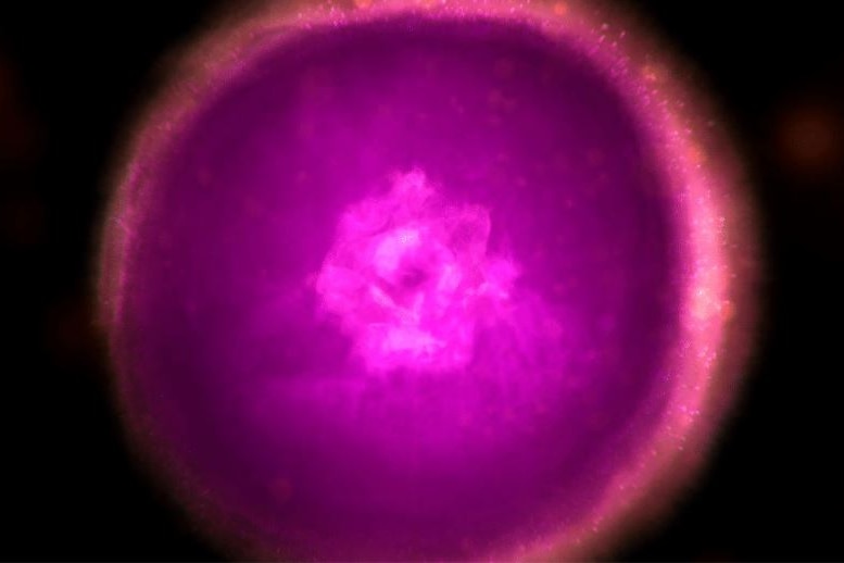 Purple and pink circle animation depicting carbon.
