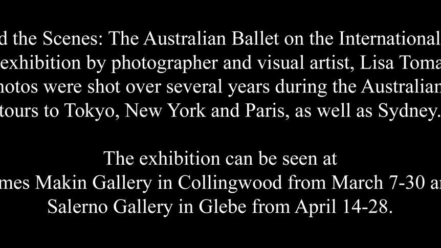 Blurb for ballet gallery.
