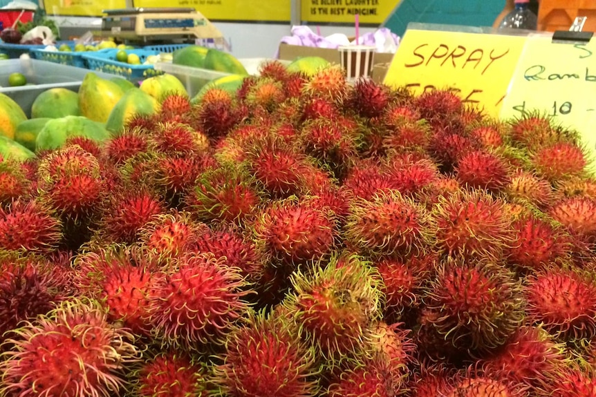 Rambutans for sale