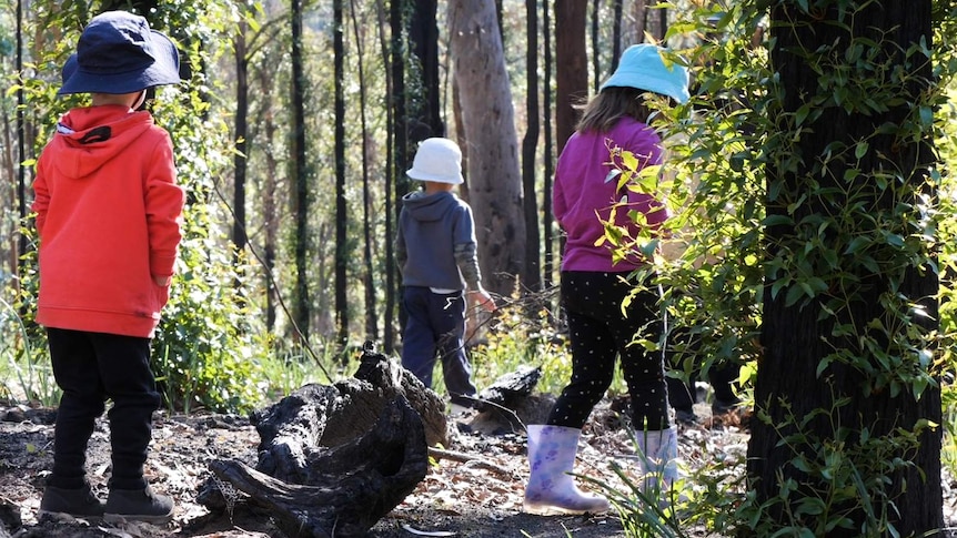 Three preschool-age children walking in burnt forest with green shoots growing from tree trunks
