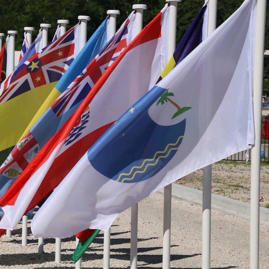 A row of flags from Pacific Island countries, with the Pacific Islands Forum flag at the front.