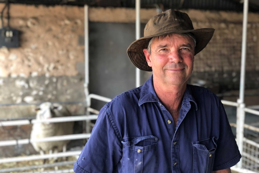 Allan Piggott, president of Sheep Producers Australia, sitting on a pen rail with a sheep behind him.