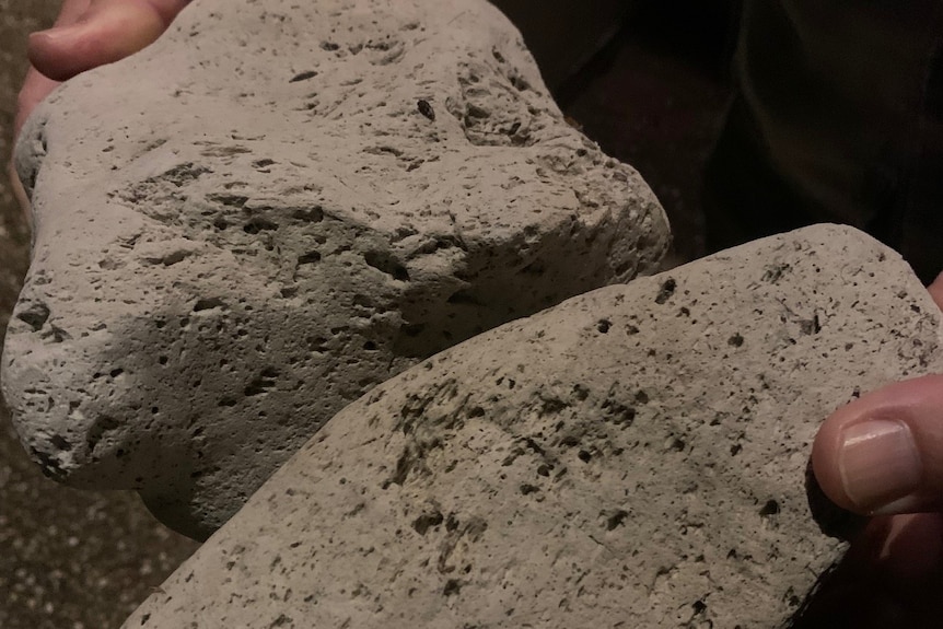 Close up of someone holding two large pumice rocks.