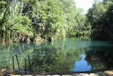 Berry Springs lower pool near Darwin, Northern Territory.