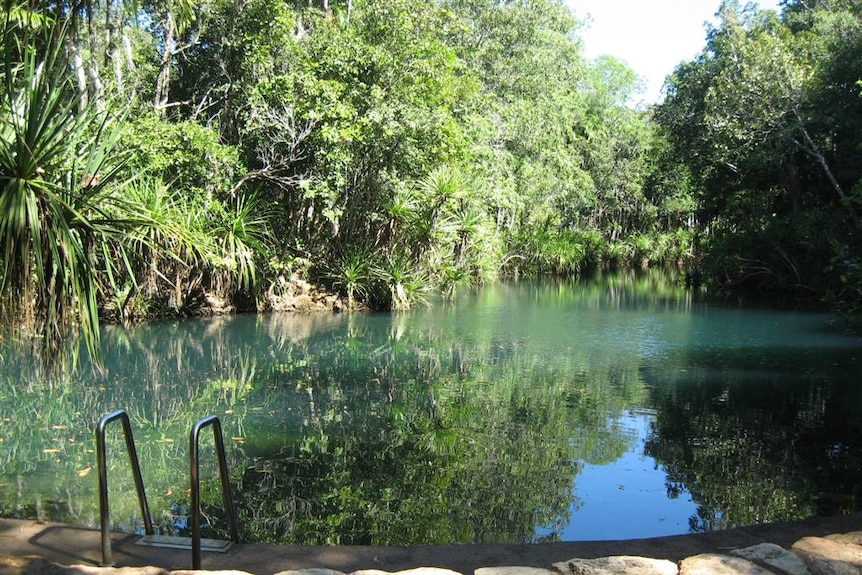 Berry Springs pool.