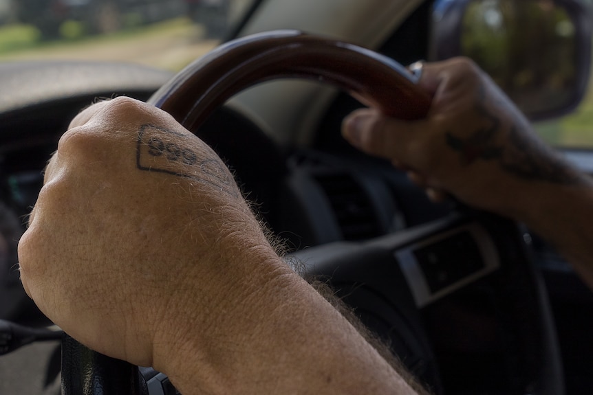 Peter's hands on steering wheel.