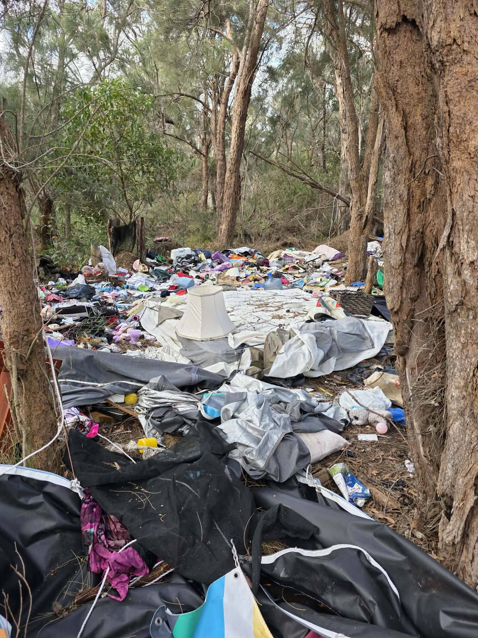Residents furious at illegal dumping in native bushland near school