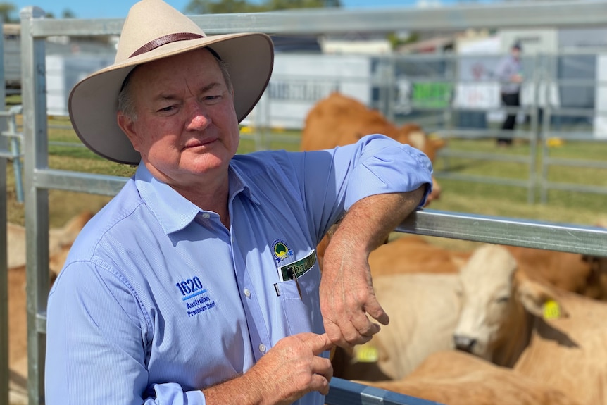 Mid shot of a man in his 60s leaning against a steel cattle pen with blurred cattle in the background. 