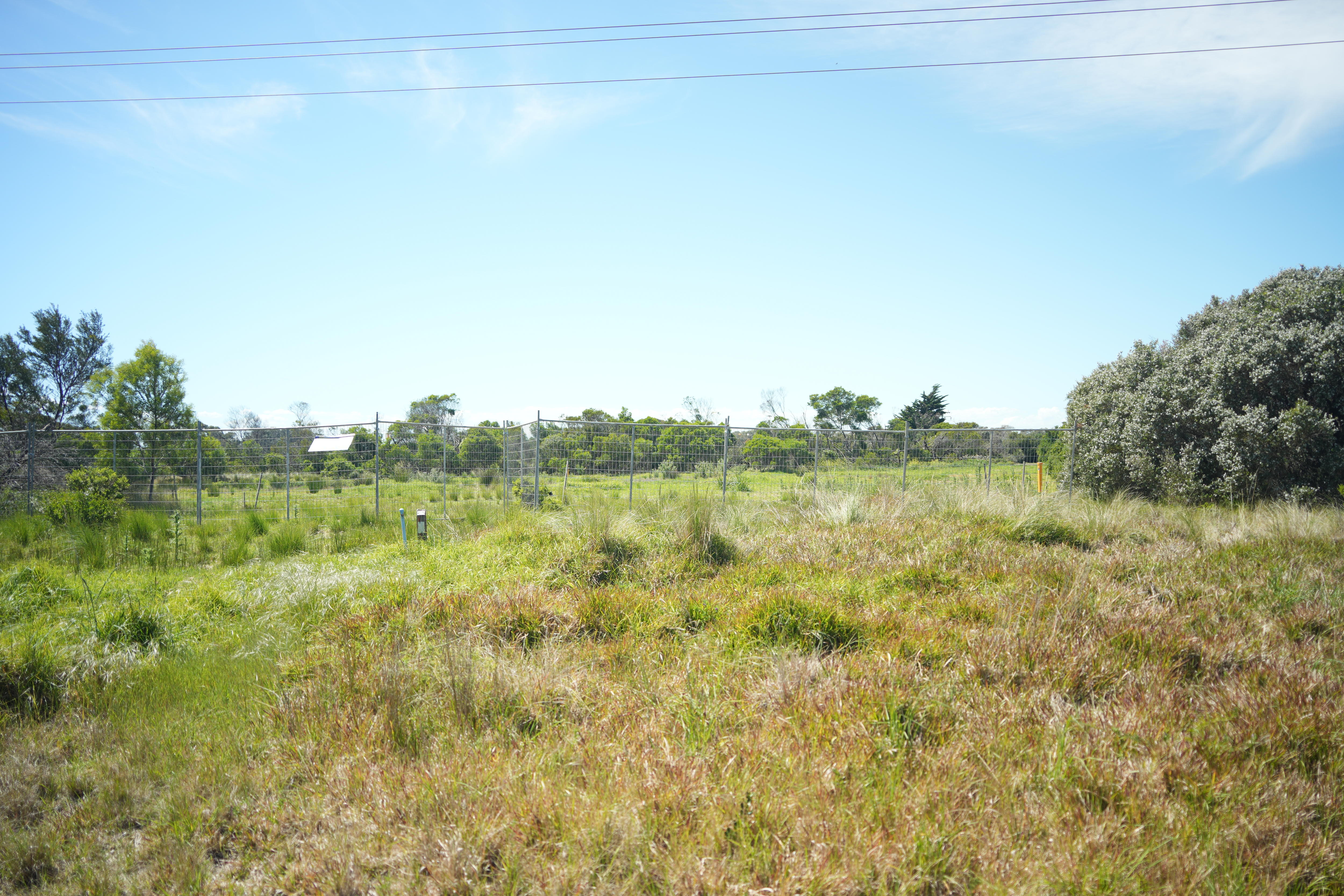 A temporary fence on a block of coastal grass in Point Lonsdale