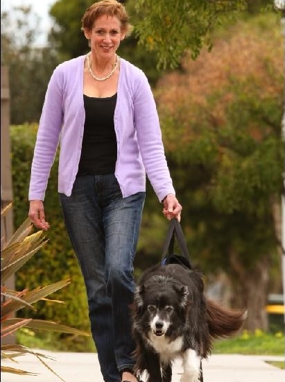 A woman walking a dog