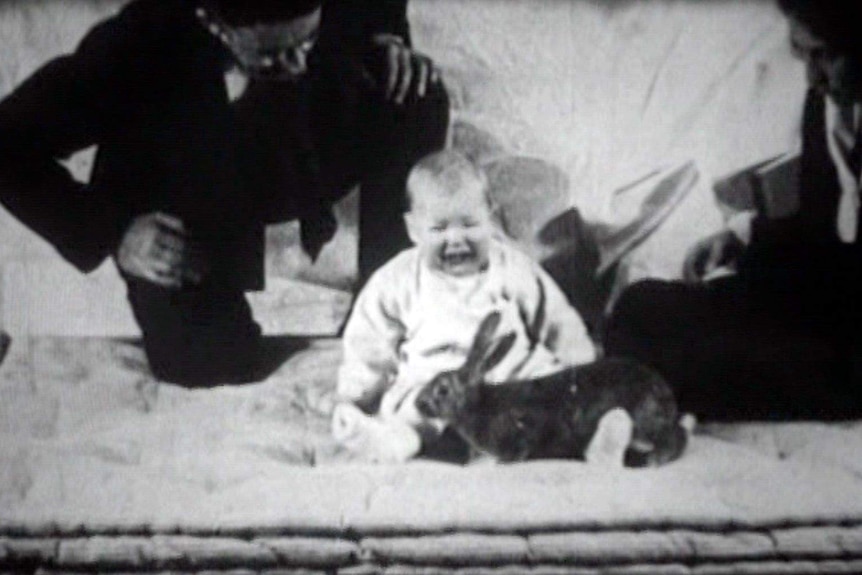 A still from video of the Baby Albert experiment