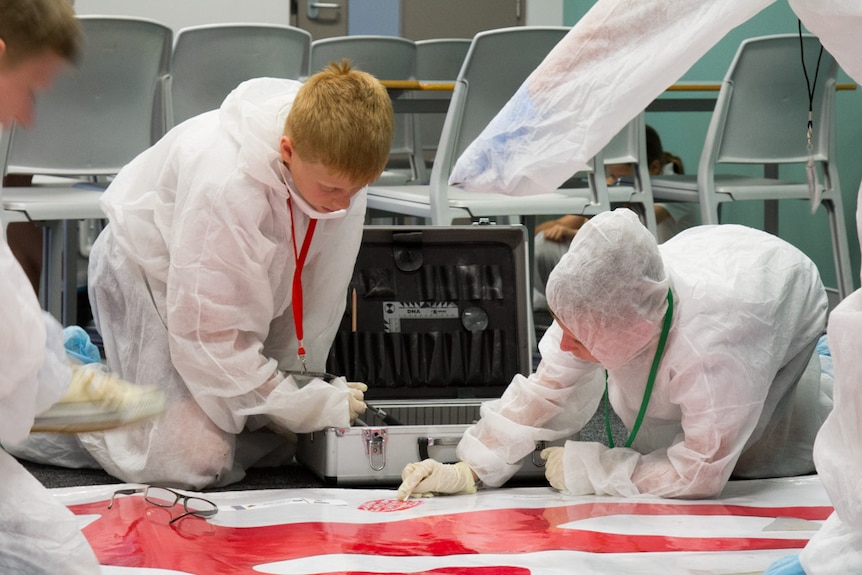 Students check a DNA testing kit