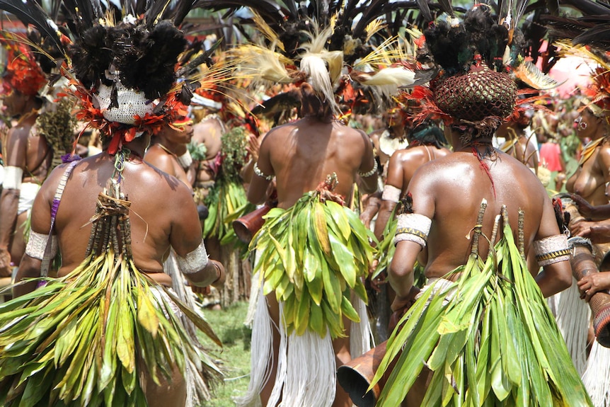 Photo taken behind performers wearing headdresses, skirts and leaves during a ceremony in PNG.