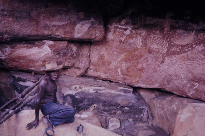 Arnhem Land man sits on rock beside large Indigenous painting of crocodile on large rock face, photo take in the 1970s.
