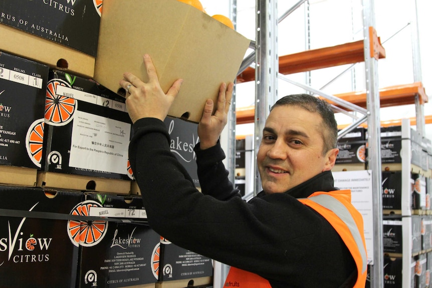 Joe Tullio packs boxes of oranges for export