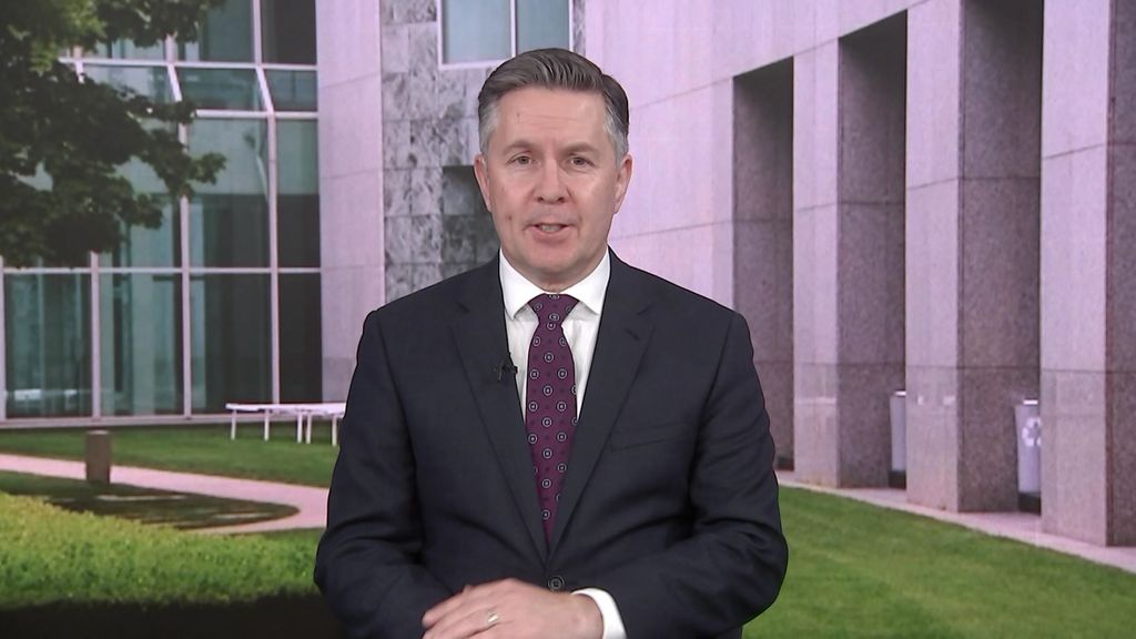 Mark Butler defends politicians asking for upgrades - ABC News