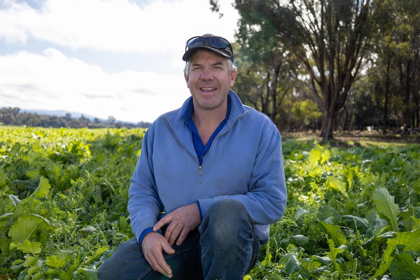 A man in a blue jumper sits in a green paddock