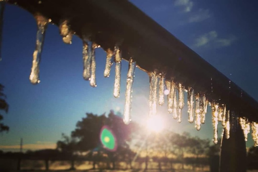 Icicles hang from a farm gate, with the sun peeking through.