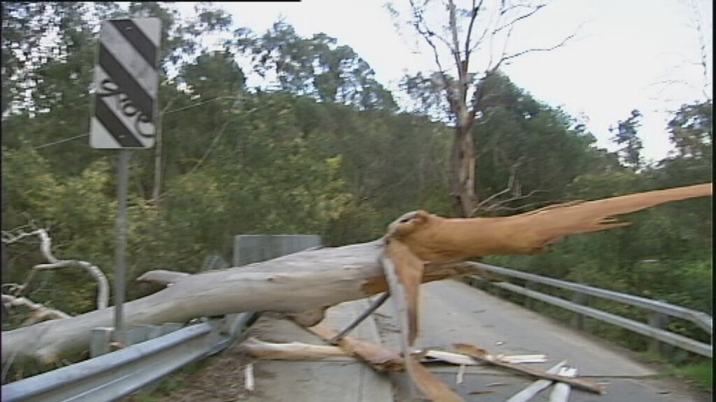 More wild winds batter Victoria - ABC News