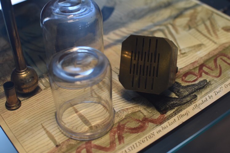 An artificial leech sits next to glass jars, which were once used to hold blood.