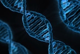 Generic DNA image.