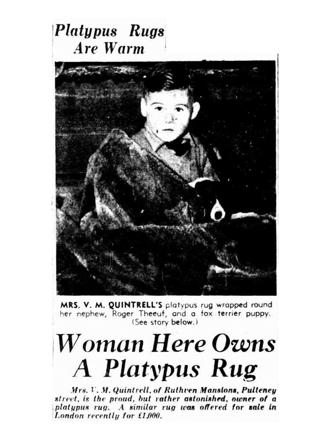 A black and white newspaper clipping showing a boy wrapped in a platypus skin rug