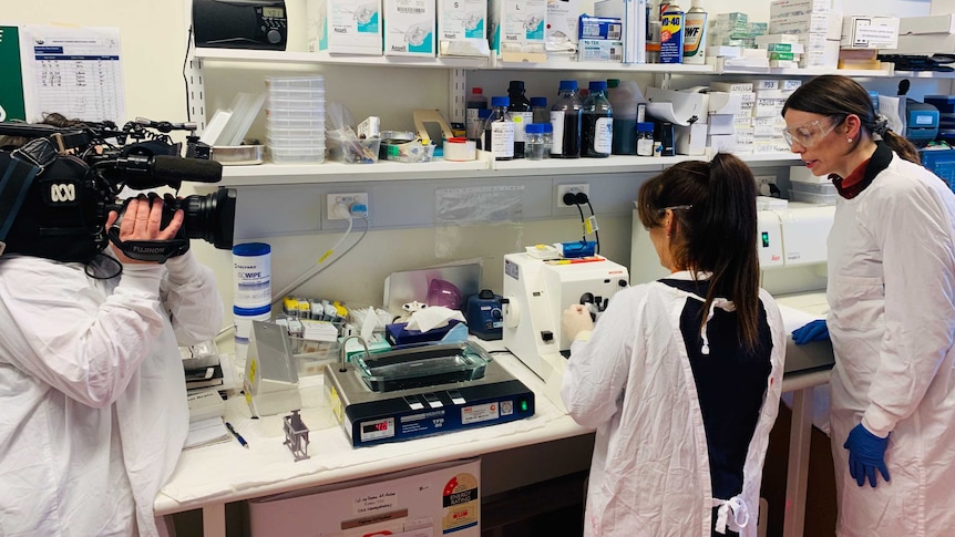 Researchers using scientific equipment in a laboratory.