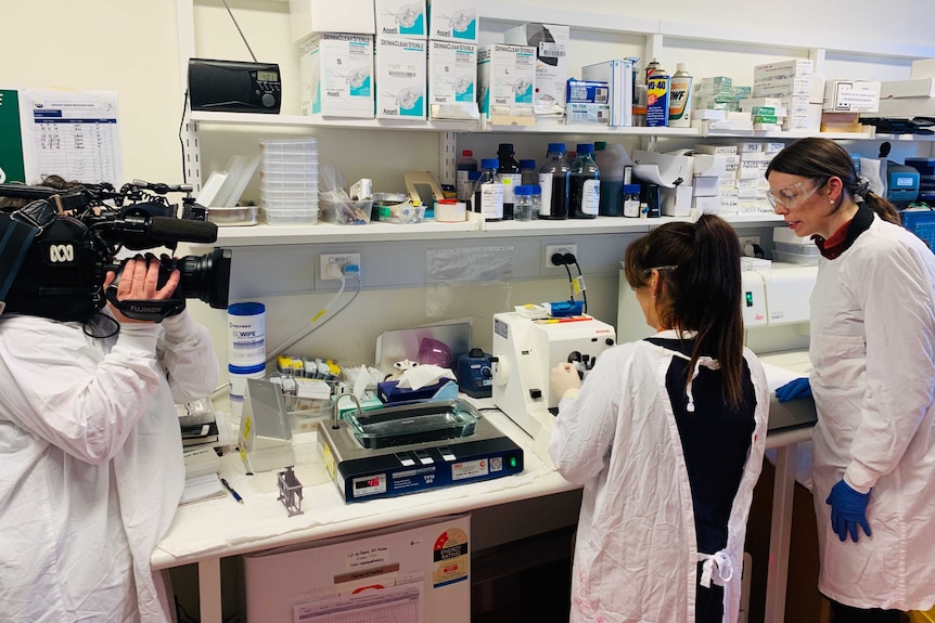 Researchers using scientific equipment in a laboratory.