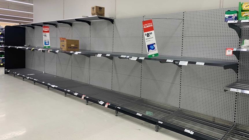 A completely empty grocery store shelf where toilet paper is supposed to be