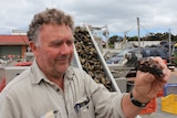Oceans Foods International director Gareth James examines an oyster at Emu Point