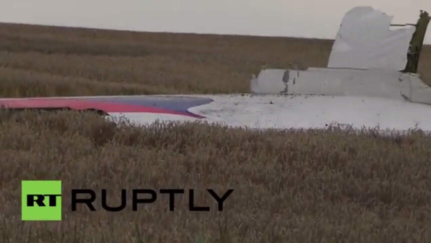 A YouTube clip shows wreckage from the crash site of Malaysia Airlines flight MH17