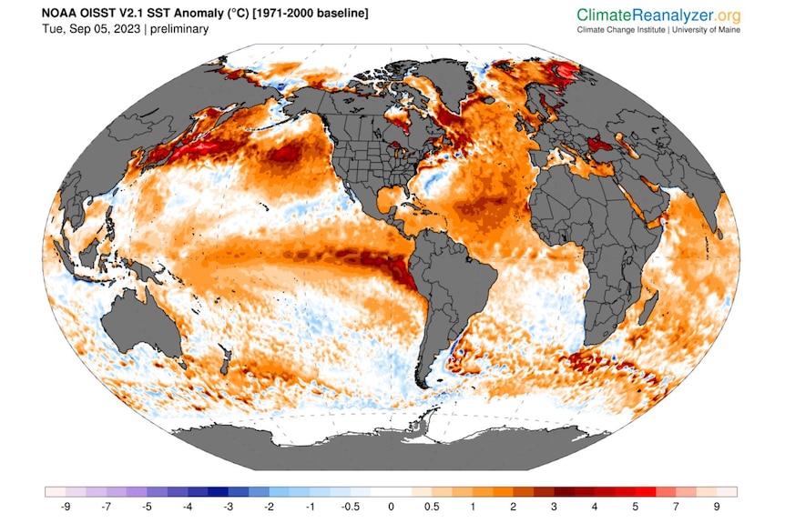 A map of global sea surface temperatures anomaly's