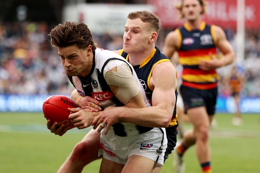 A Collingwood AFL player holding the ball grimaces as an Adelaide player wraps his arms around him to tackle from behind.