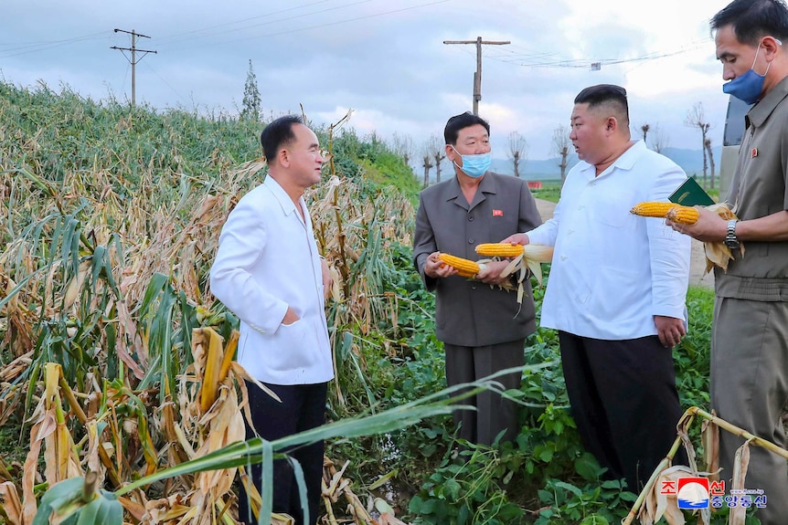 Kim Jong-un holds an ear of corn while talking to several men in face masks in a corn field