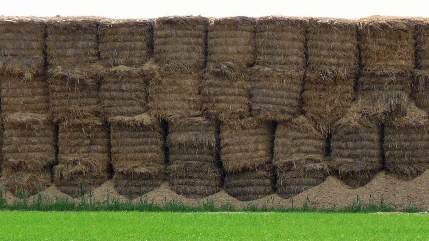 WorkSafe is warning farms to beware of falling bales.