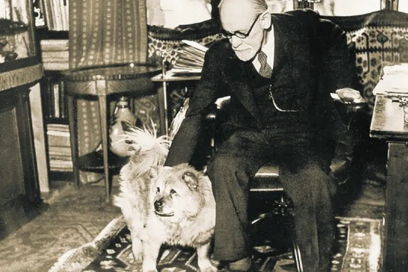 Sigmund Freud leans down from his armchair to pat a dog.