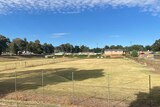 A patch of grass and fences that look old and rundown. 