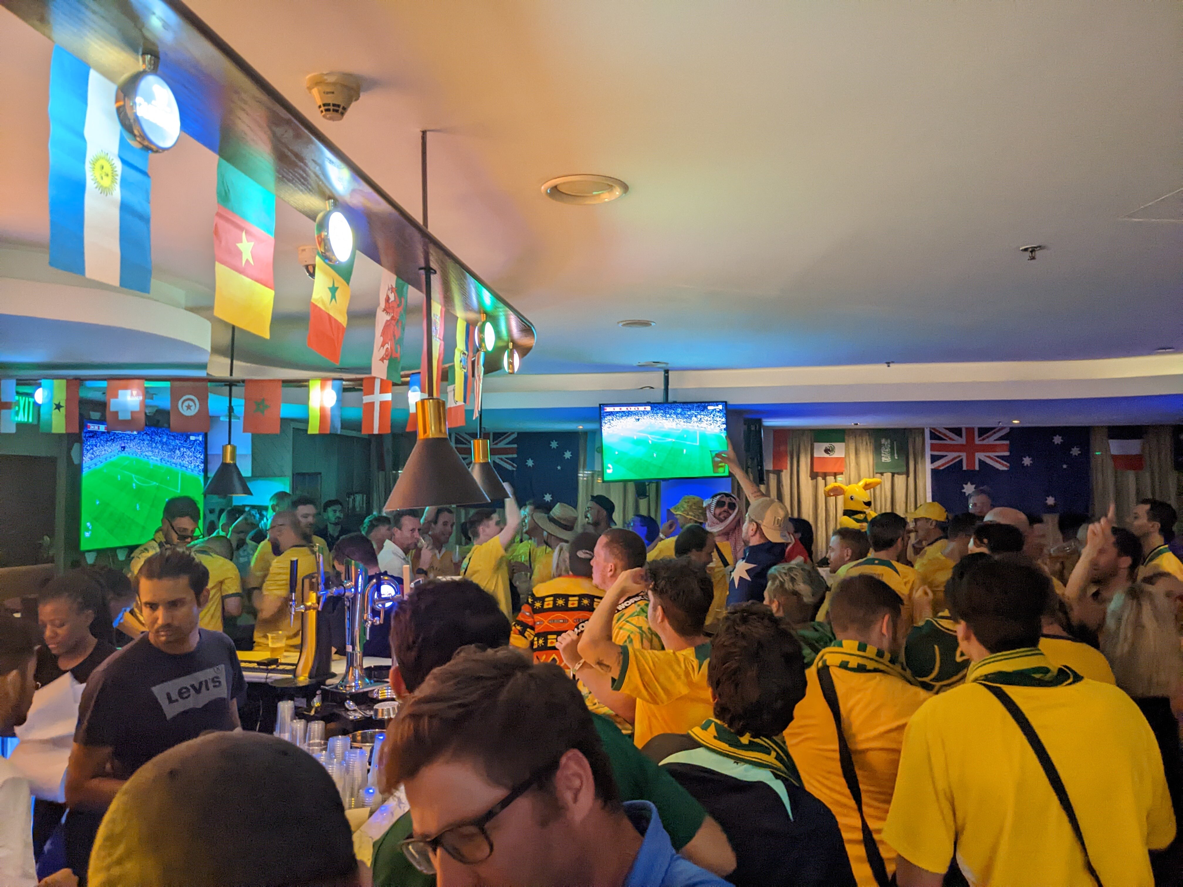 How Socceroos fans in Qatar celebrated after Australia's famous World Cup  win over Tunisia - ABC News
