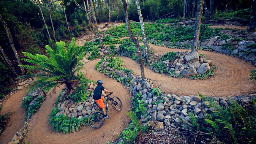 A cyclist navigates tight bends on a constructed mountain bike track.