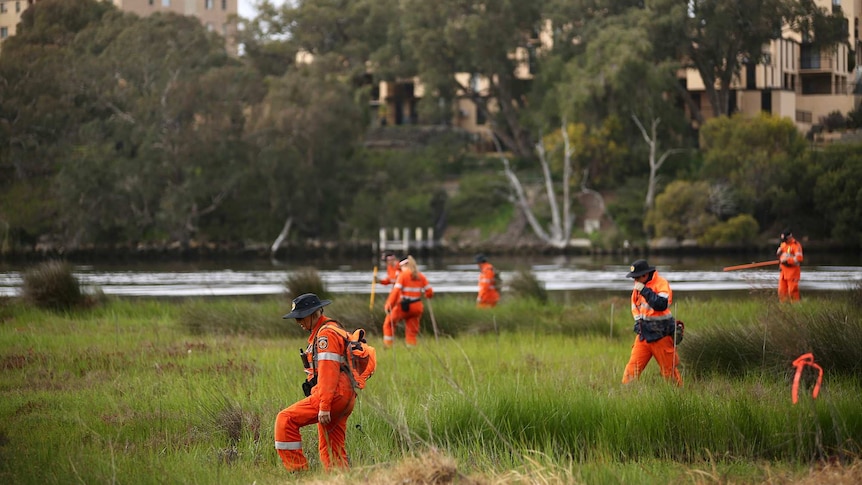 A half dozen SES volunteers dressed in orange hi-vis clothing search an area of marshland adjacent to the Swan River.