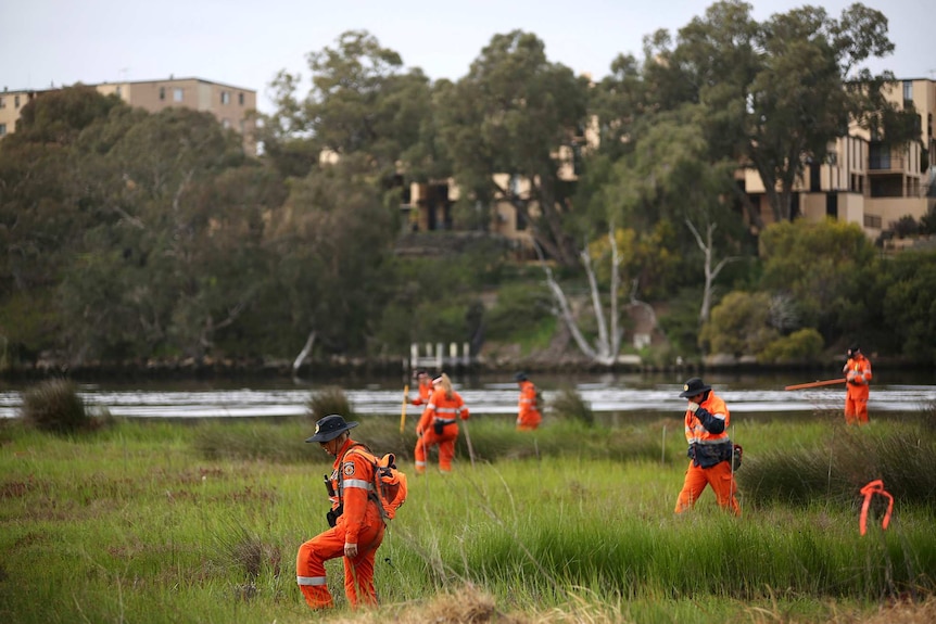 A half dozen SES volunteers dressed in orange hi-vis clothing search an area of marshland adjacent to the Swan River.