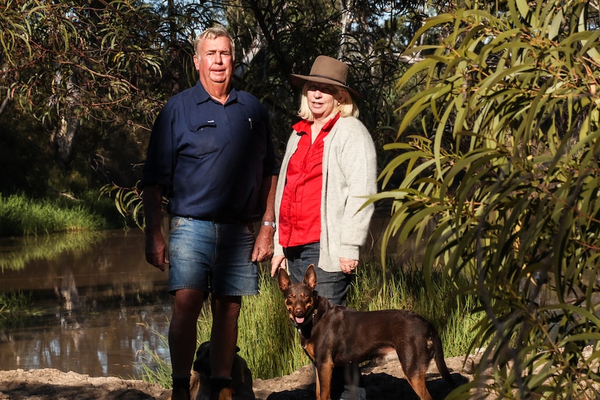 Glen and Barbara Beasley stand with their red kelpie on the banks of a  creek on the farm near Chinchilla, southern Queensland.