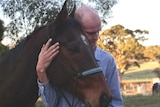 Windamere Horse Haven president David Mews with a former racing horse.