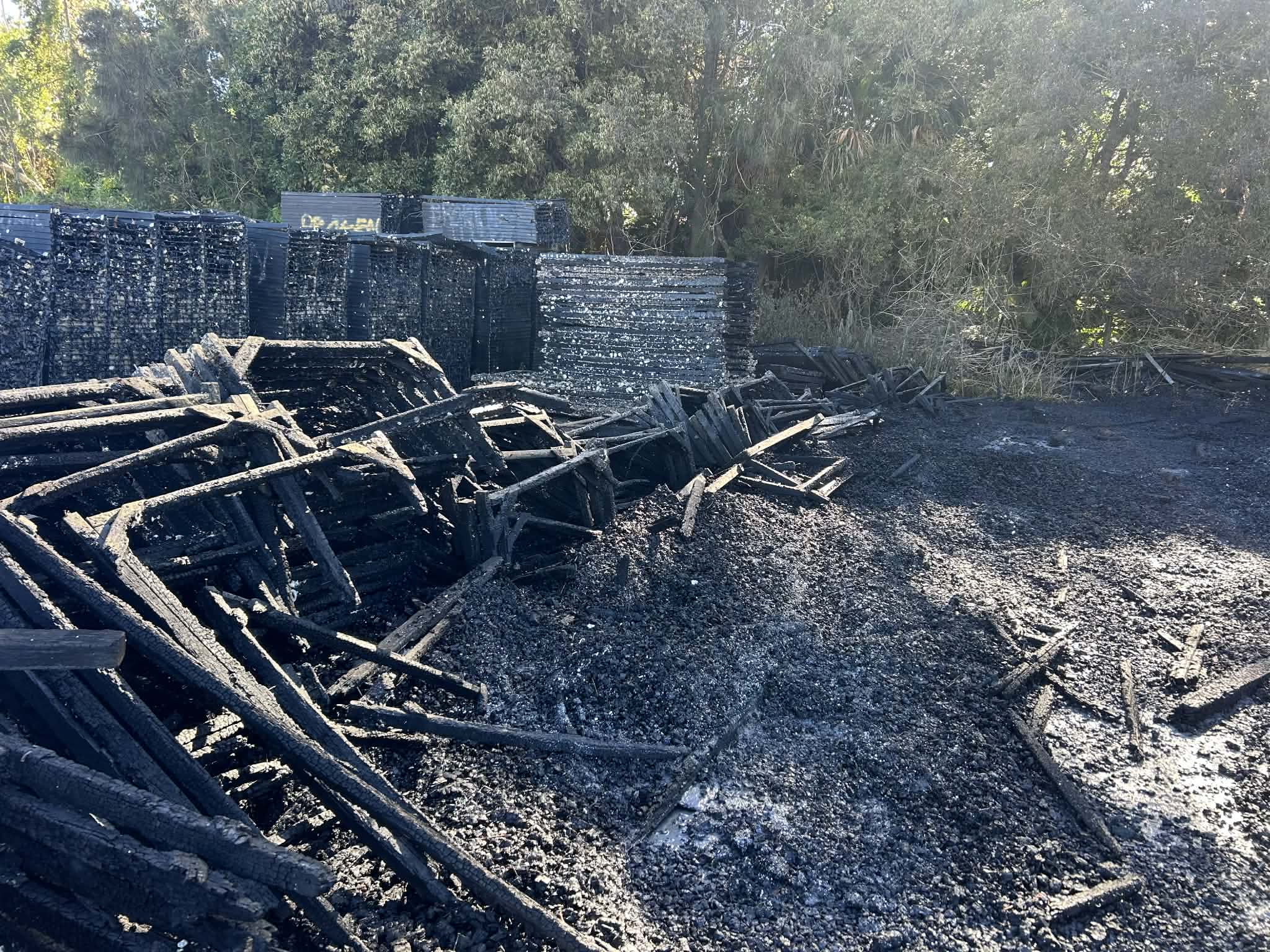 Rescaldo do incêndio Forster 