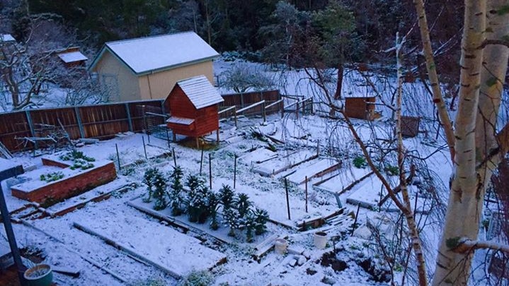 A backyard in South Hobart is covered in snow on August 3, 2015.